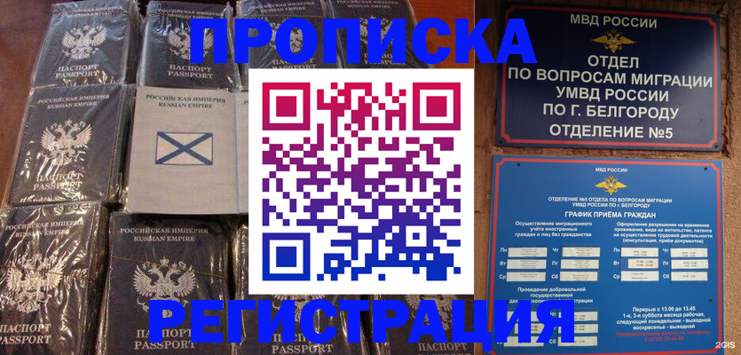прописка гарантия в Кимрах